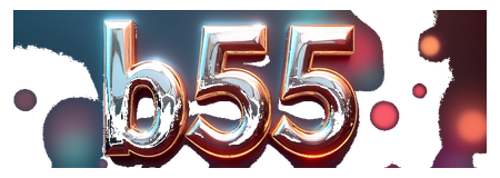 b55 logo